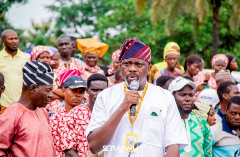 Ogunwuyi is a performer, says Makinde