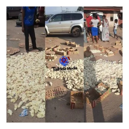 Tears, Day-old chicks died as Task Force impound car because of emblem (photos)