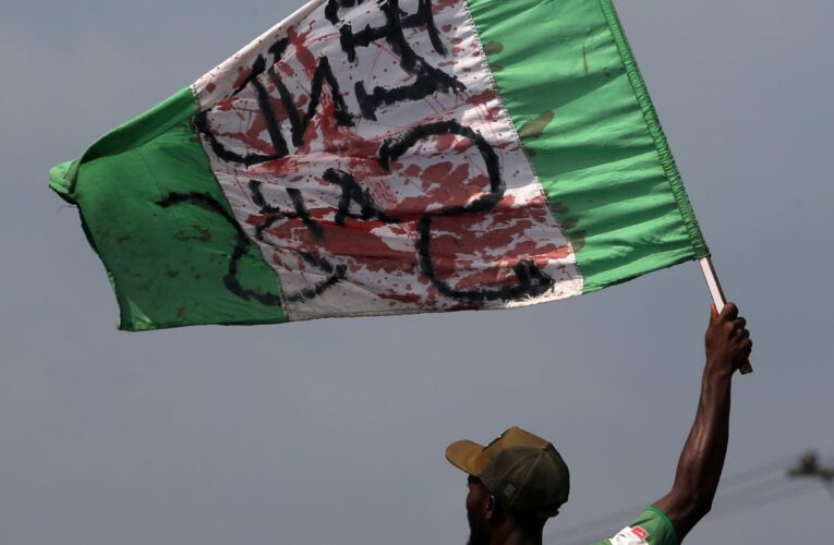 If Nigeria dies, hatred killed her— Femi Adesina