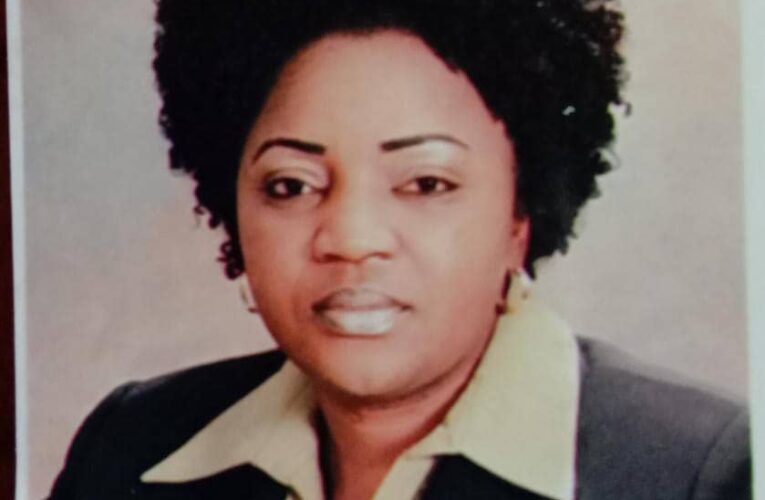 2021: Princess Adedoja advocates continued support for Makinde’s led administration