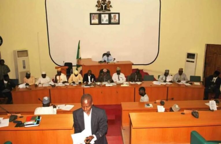 Niger Assembly majority leader sacked