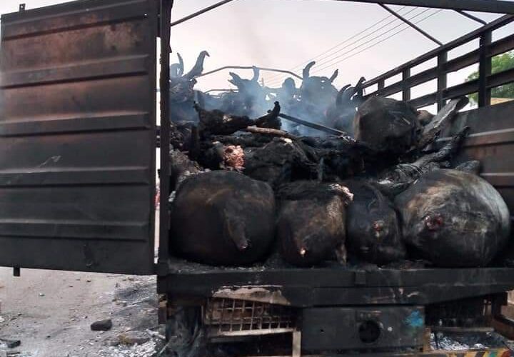 Saki residents kick over killing of one, set cow-loaded truck ablaze