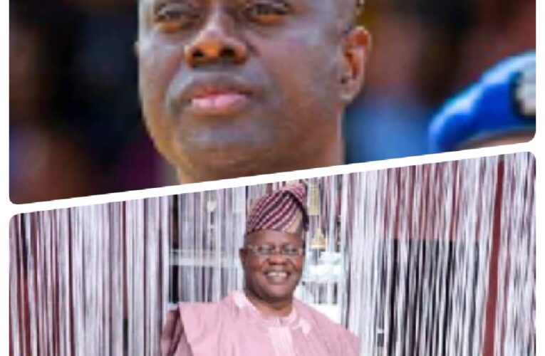 PDP Youth Group slams Diran Odeyemi- asked the party DNPS; why always you?