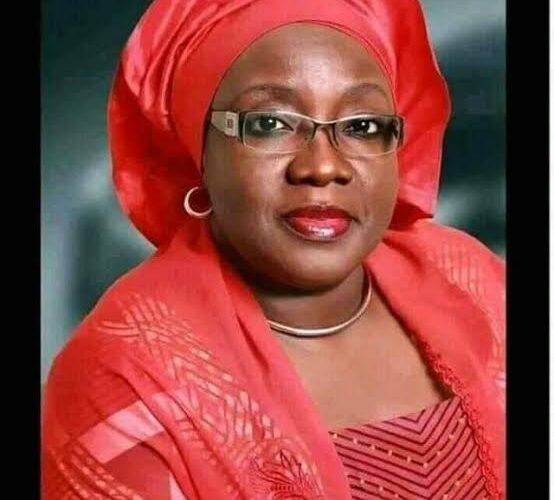 Embattled MAA want Court to reinstate sacked Oyo LG bosses, regret supporting Makinde as Governor