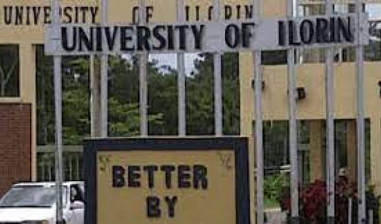 IPPIS: I now earn salary of a Graduate Assistant — Unilorin VC