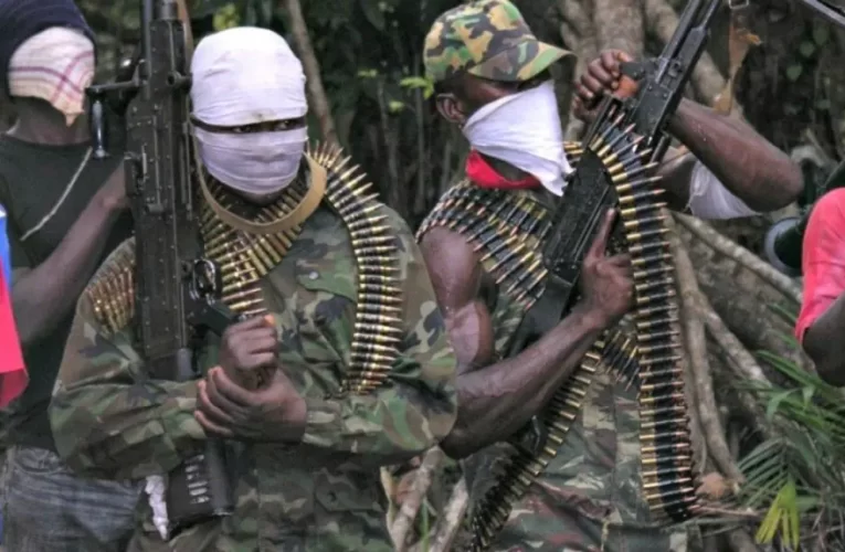 Gunmen kill 13, kidnap two Chinese expatriates in Niger