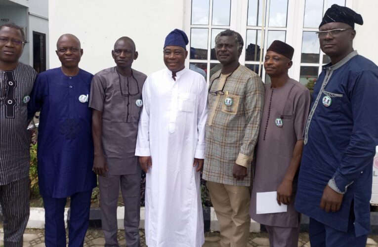 We can’t do anything as individual without political influence’— Bayo Lawal tells Kishi Club