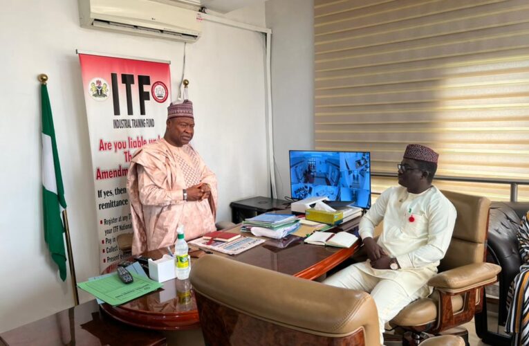 Makinde’s aide, Wale Ajani makes case for Oyo youths in Abuja