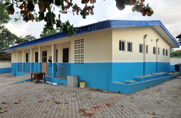 Primary Healthcare devt as proof of GSM’s governance driven by data, logic | By Moses Alao