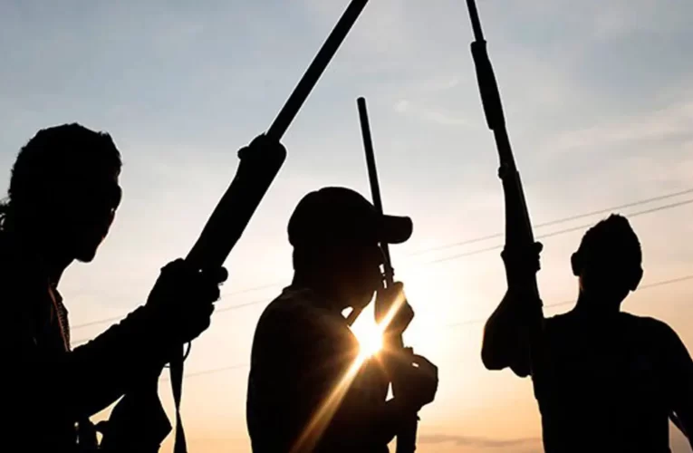 BREAKING: One killed as gunmen attack PDP campaign rally in Enugu 
