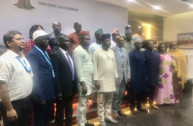 Oyo ready to partner WHO for improved Health Care delivery— Makinde 