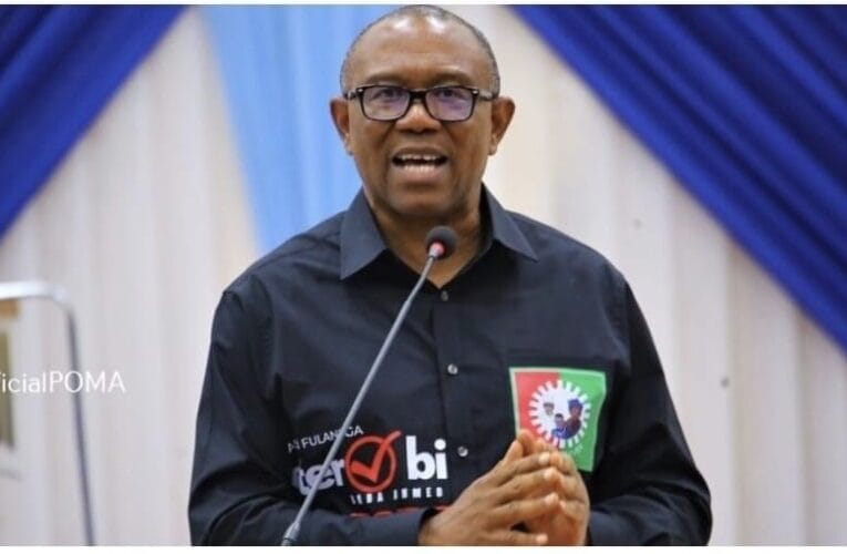 BREAKING: Northern elders back FG, demand immediate arrest of Peter Obi 