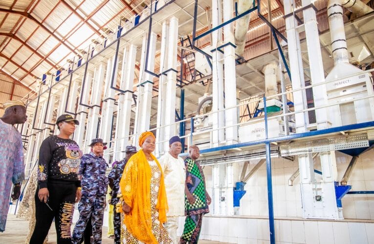 PHOTOS: Oyo deputy gov inspects Kishi rice mill, says project will create employment 