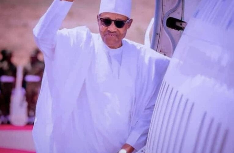 My Cows Easier to Control Than Nigerians, Says Ex-President Buhari 