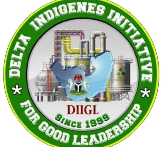DIIGL condemns the recent molestation and brutalization of Nigerian youths