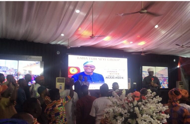 I will continue to visit Tinubu until … – Makinde