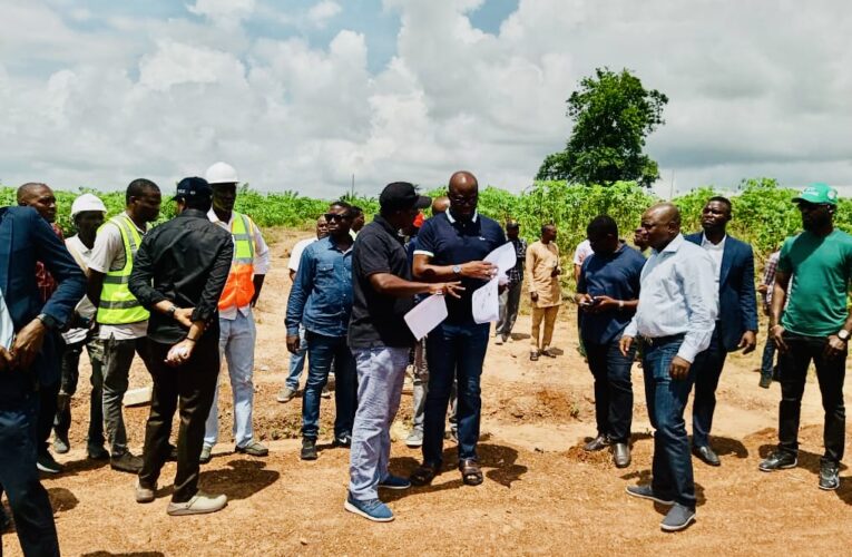 Makinde inspects Fashola Farm Estate, two other projects to reduce rural-urban migration