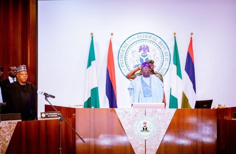 Tinubu seeks European Council’s support to fight poverty, insecurity 