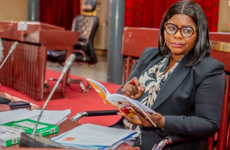 We need peace in Ogbomoso North— Lawmaker, Bisi Oluranti-Micheal appeals to Gov. Makinde 