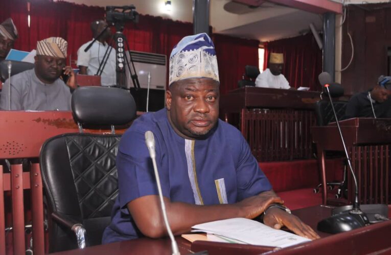 Sanjo Adedoyin Calls for Urgent Need for More Primary School Teachers in Oyo State