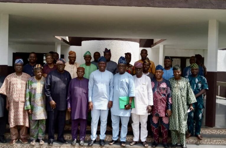 We’ll unite Fasoranti, Adebanjo in Yoruba’s interest- Makinde