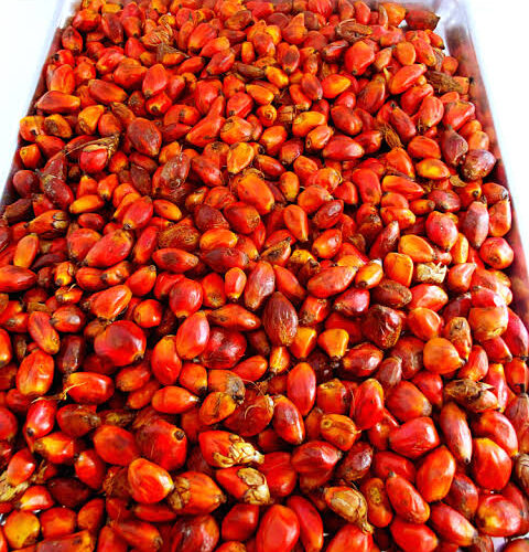 PHOTOS: See The Perfect Alternative To Fresh Tomatoes 