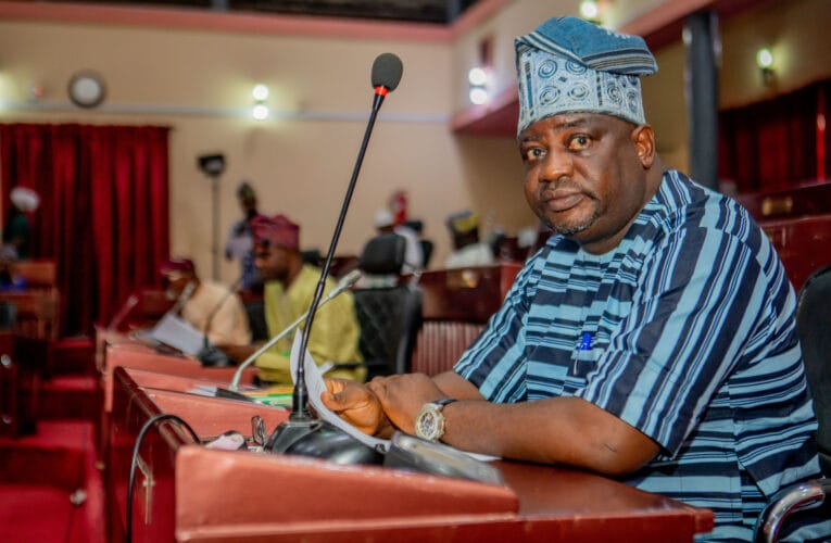 Excitement as Oyo lawmaker, Sanjo Adedoyin moves motion for ‘Isese Day’