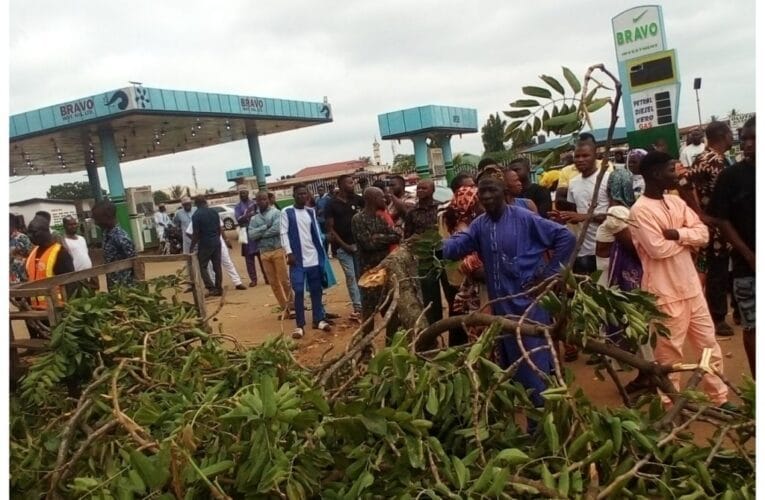 Fallen Tree Kills Woman, Injures 10 Others In Ilorin