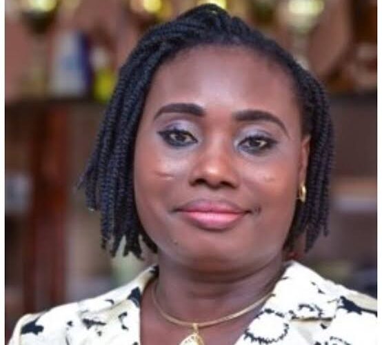 Oyo SSG, Prof. Adeyemo reappointed to HLPE-FSN’s Steering Committee