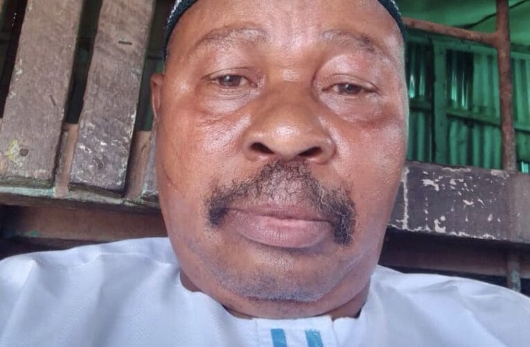 My purported sack a ruse, I already resigned – Akinpelu