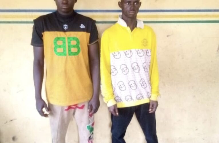 Two Arrested For Stealing Dangote Truck 