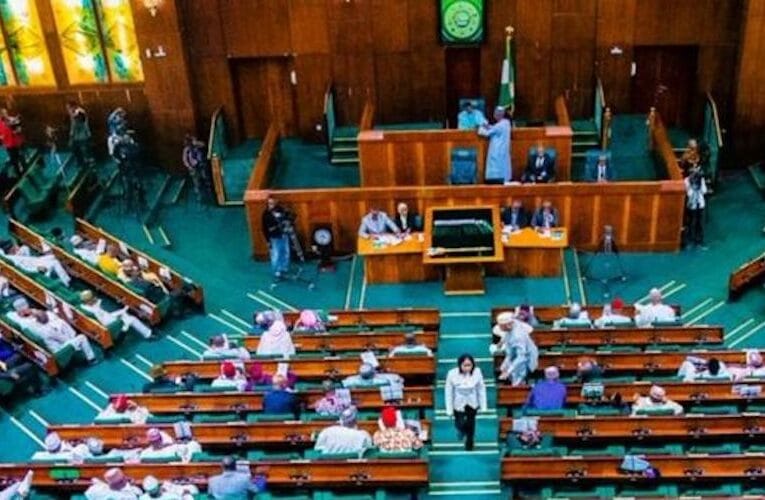 FG: 18 Out Of Deported Saudi Arabia Passengers Have Criminal Records