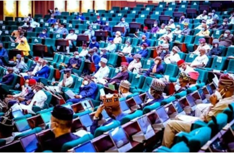 Reps Move To Halt Alleged Plan By Edo State Govt To Split Benin Kingdom