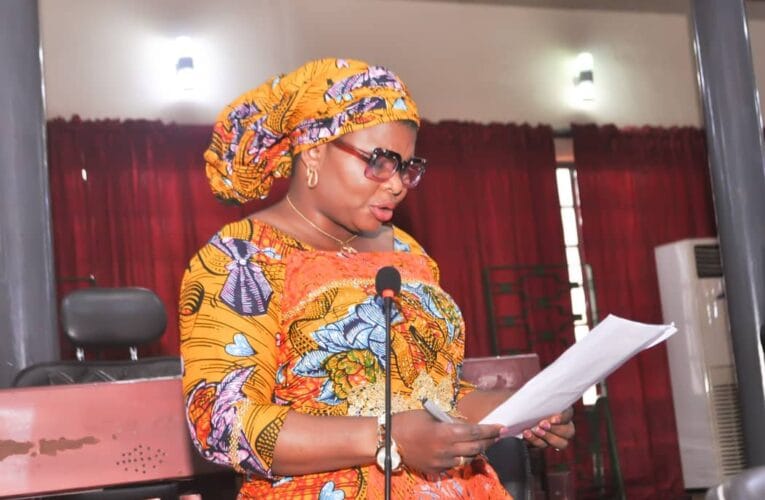 Bisi Oluranti moves motion seeking renovation of special basic schools in Oyo, others 
