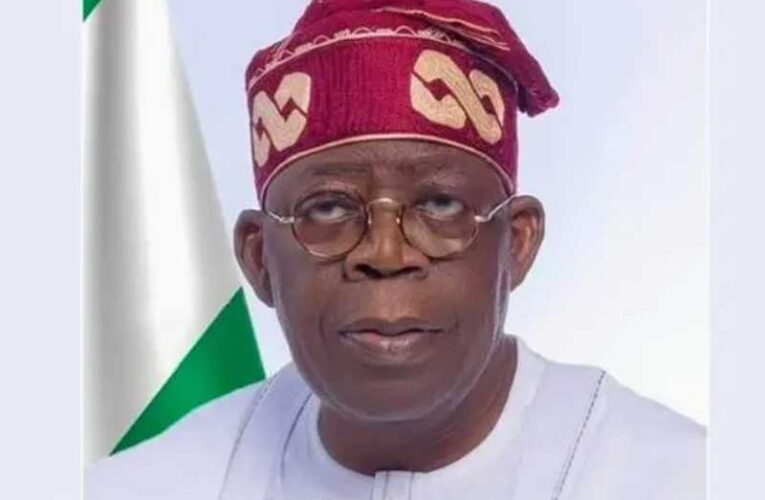 Tinubu Redeploys 135 Directors, Deputy Directors, Others To New Ministries