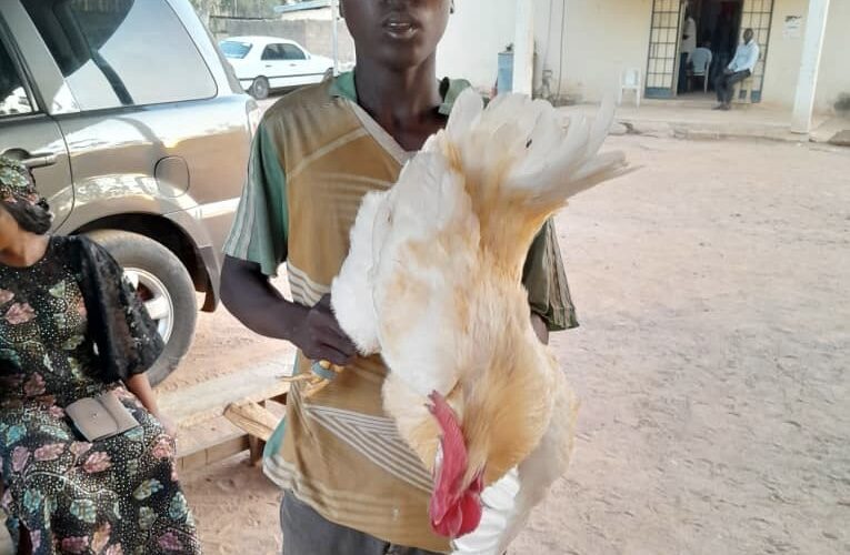 17-Year-Old Caught Having Sex With A Cock In Adamawa