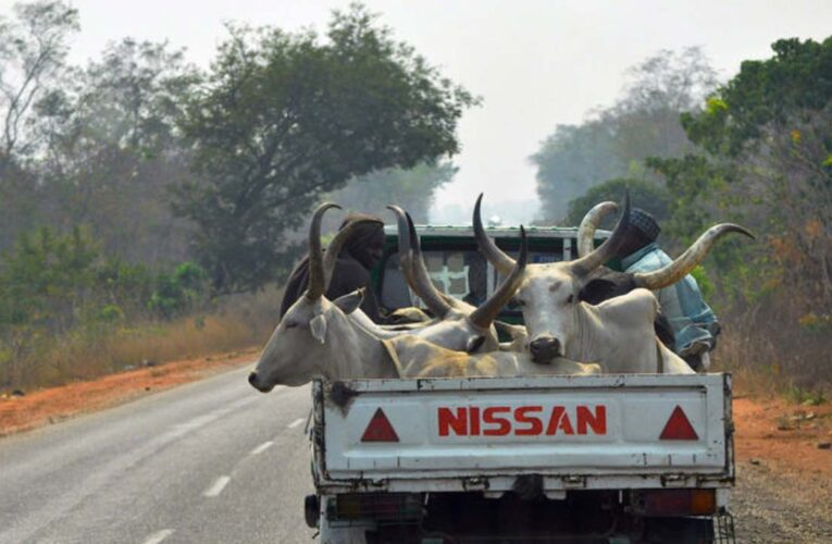 FRSC to impound trucks carrying humans and animals together 