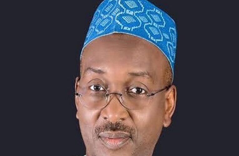 Why APC May be kicked out of power in 2027– Ex-Vice chairman 