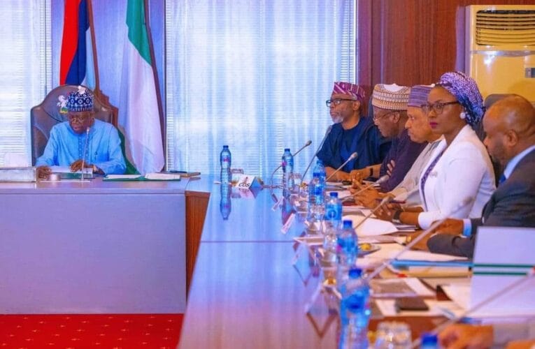 Tinubu directs expansion of student-loan programme to include skill development 