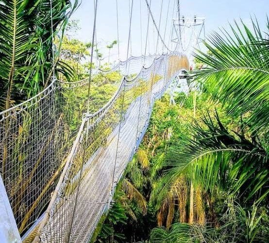 LASG Orders Immediate Closure Of Lekki Conservation Centre After Viral Video 