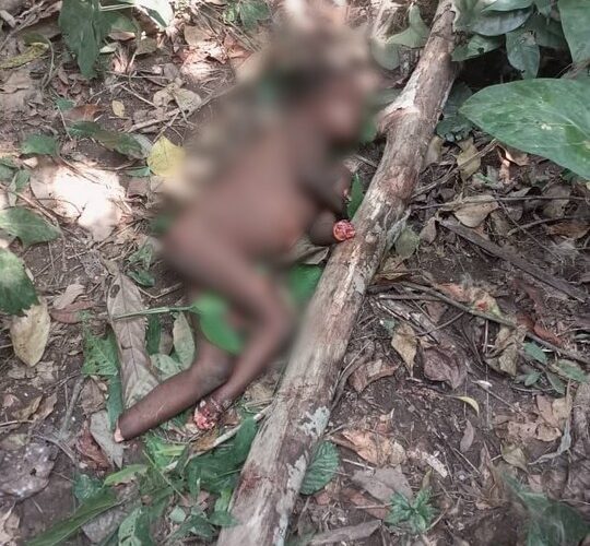 Corpse Of 8-Year-Old Pupil Killed By Suspected Ritualists In Ogun