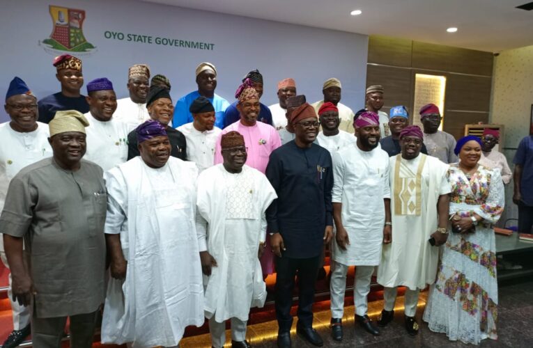 LG polls: Deliver PDP candidates in your areas, Makinde tells SAs fed constituencies