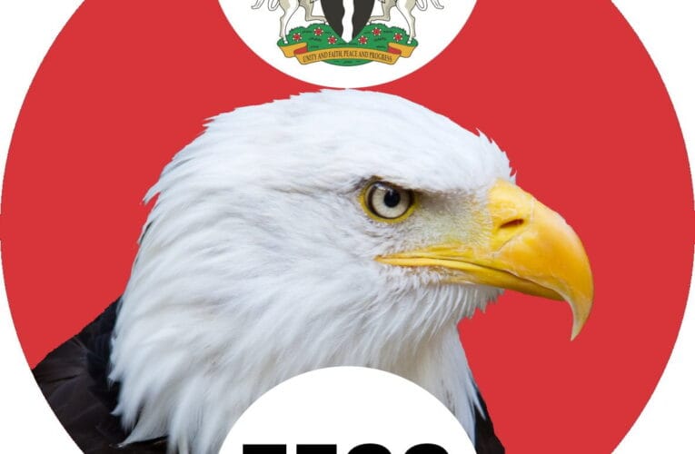 EFCC Raises Task Force Against Dollarization Of Economy