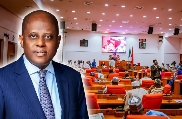 CBN Gov, Cardoso Defends High Exchange Rates, Inflation Rate, Others At Meeting With Senate