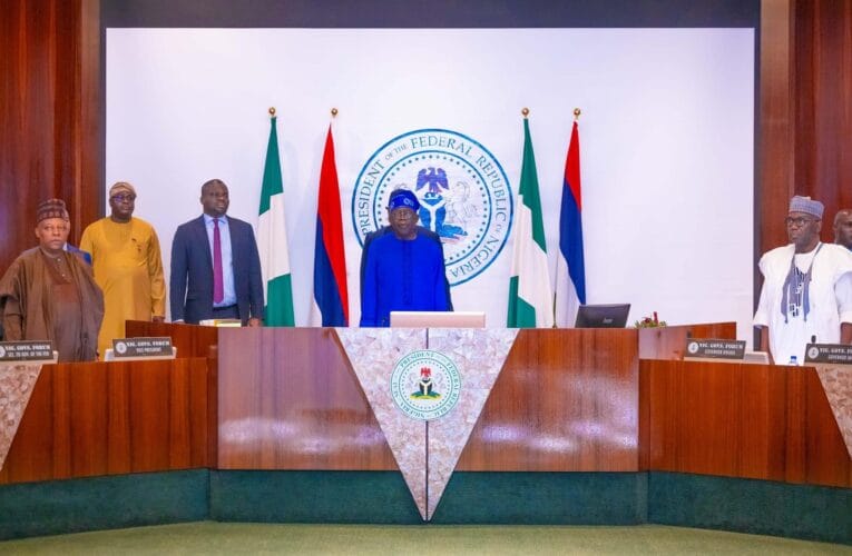 Tinubu to 36 Govs: There must be zero tolerance for incompetence, support local farmers to boost food production and remove rent seekers 