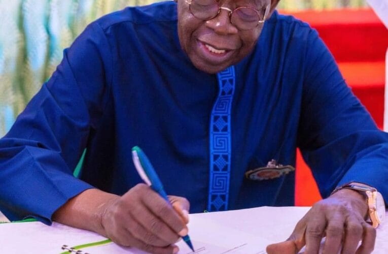 Federal bureaucracy slowing down my agenda— Tinubu 