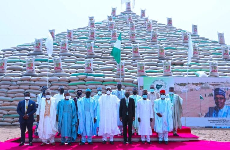 PDP To APC: Where Is Buhari’s Rice Pyramid, You Owe Nigerians Explanation