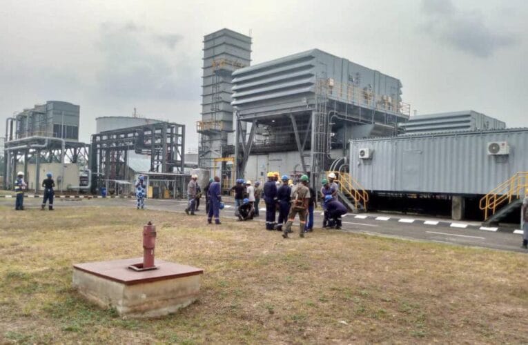 Why I Located $800m Geometric Power Plant In Aba – Barth Nnaji 