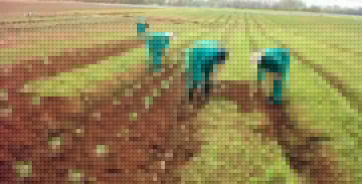 Farmers In Northern Nigeria Pay Bandits Up To N100,000 For Permission To Farm