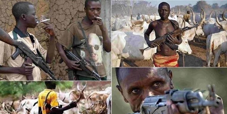 Family Of 7, 38 Others Killed In Benue Militia Gang War